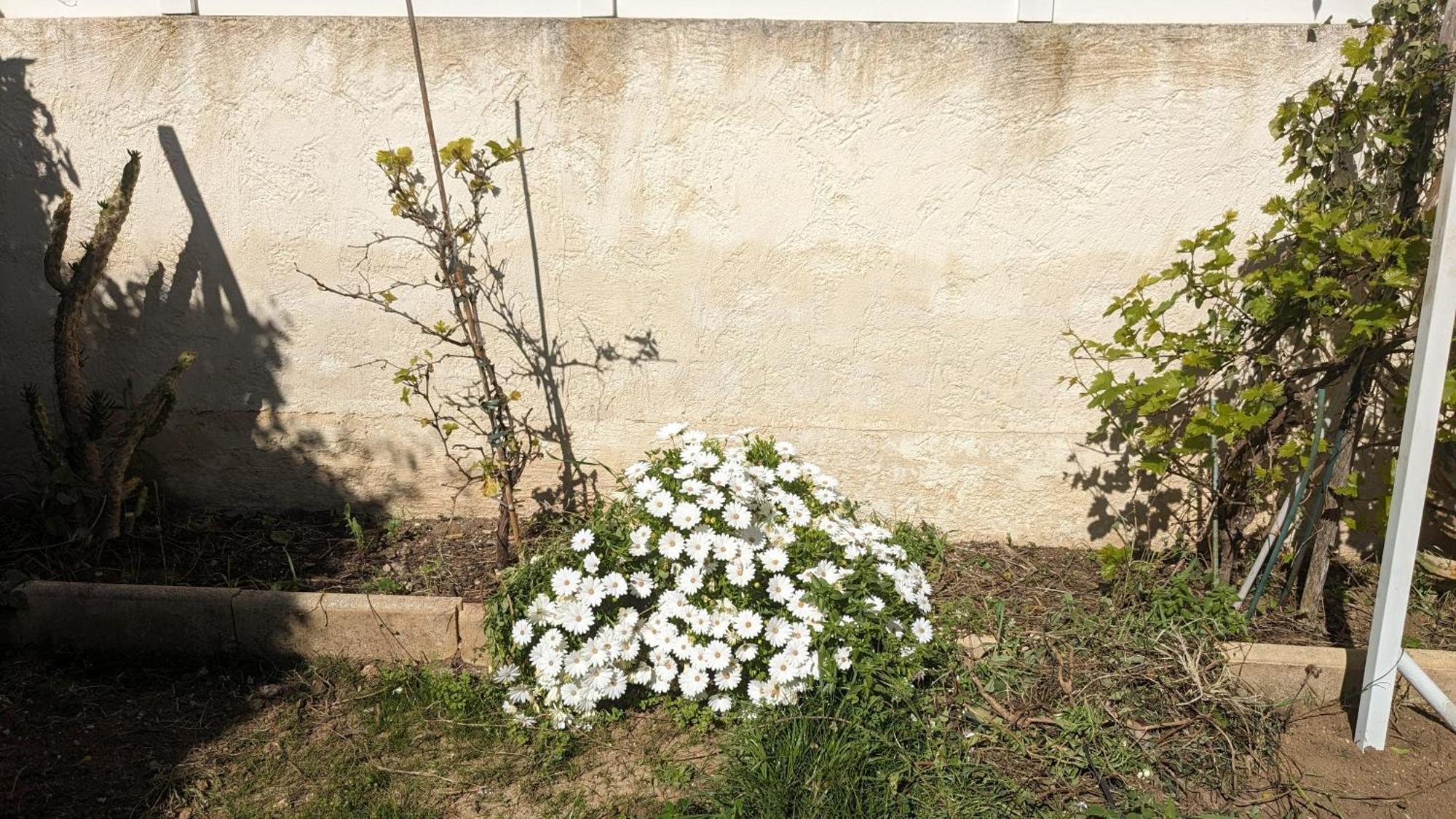 Maisonnette Kalis Calme Avec Climatisation Parking Jardin Cadre Campagne Plages A Pieds Бандоль Экстерьер фото